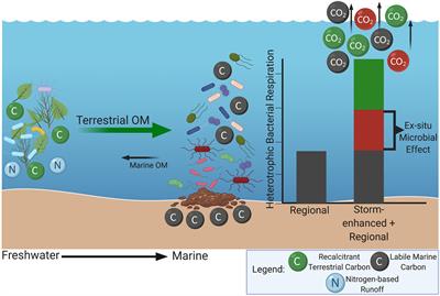 Coastal Microbial Communities Disrupted During the 2018 Hurricane Season in Outer Banks, North Carolina